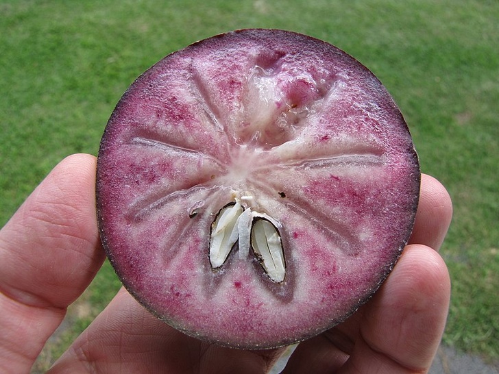 15 Frutas que no parecen hechas por la madre naturaleza