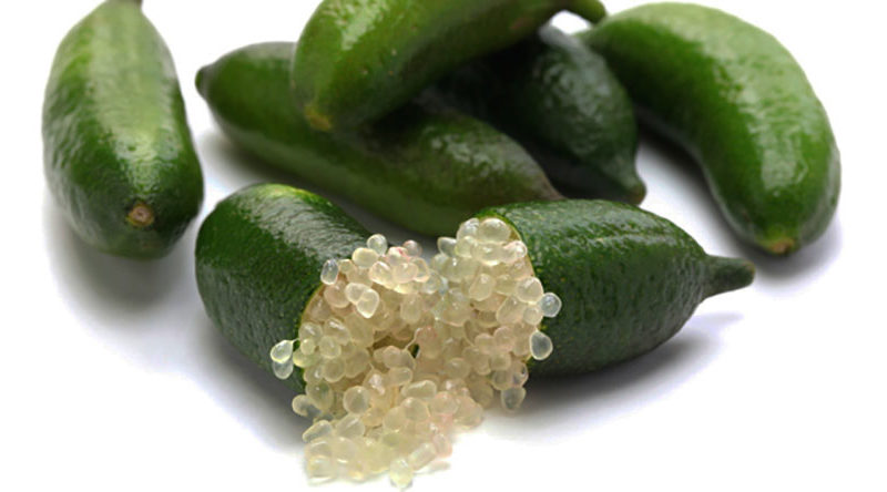 Resultado de imagen de Dedo lima