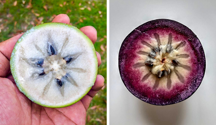 16 Raras y exóticas frutas que verás por primera vez (nos gustaría probar el pacay)