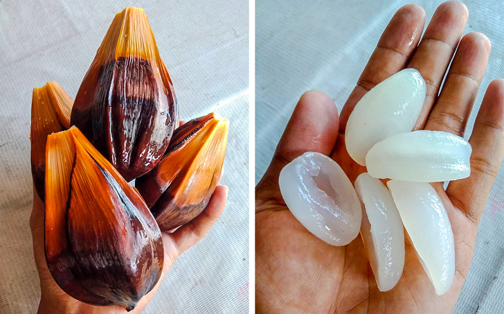 16 Raras y exóticas frutas que verás por primera vez (nos gustaría probar el pacay)