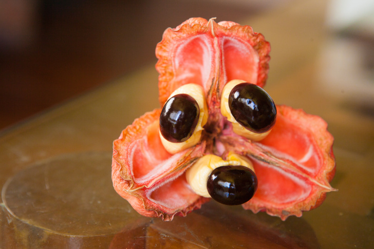 16 Raras y exóticas frutas que verás por primera vez (nos gustaría probar el pacay)