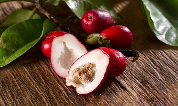 Resultado de imagen de Pomarrosa