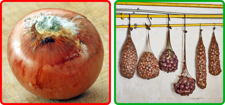 15 Tips para conservar frutas y verduras (y los nutrientes de acuerdo a su color)