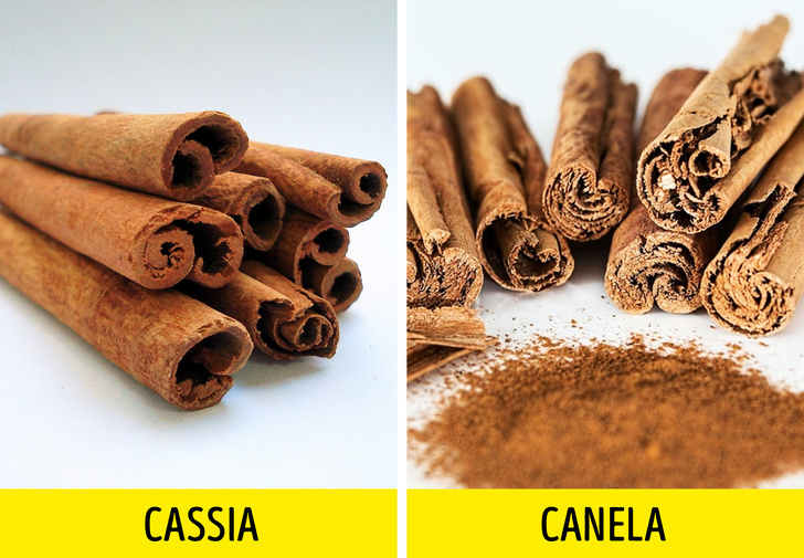 10 Productos que falsifican a menudo (advertencia: algunos de ellos los compras todos los días)