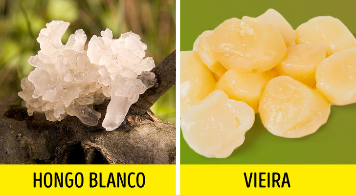 10 Productos que falsifican a menudo (advertencia: algunos de ellos los compras todos los días)