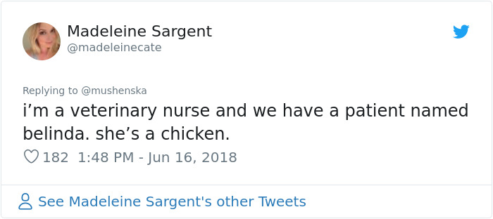 Funny-Pet-Names Funny-Pet-Names