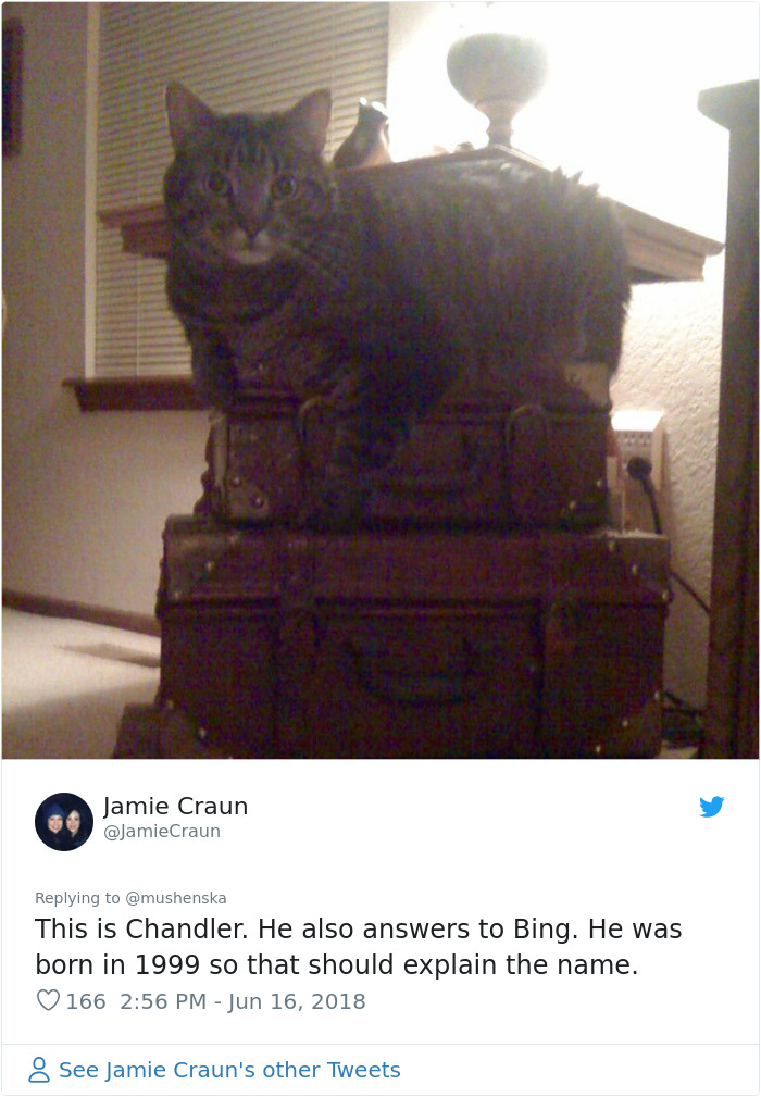 Funny-Pet-Names Funny-Pet-Names