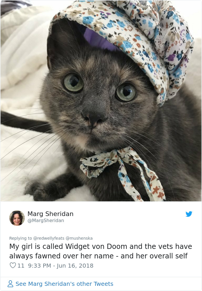 Funny-Pet-Names Funny-Pet-Names