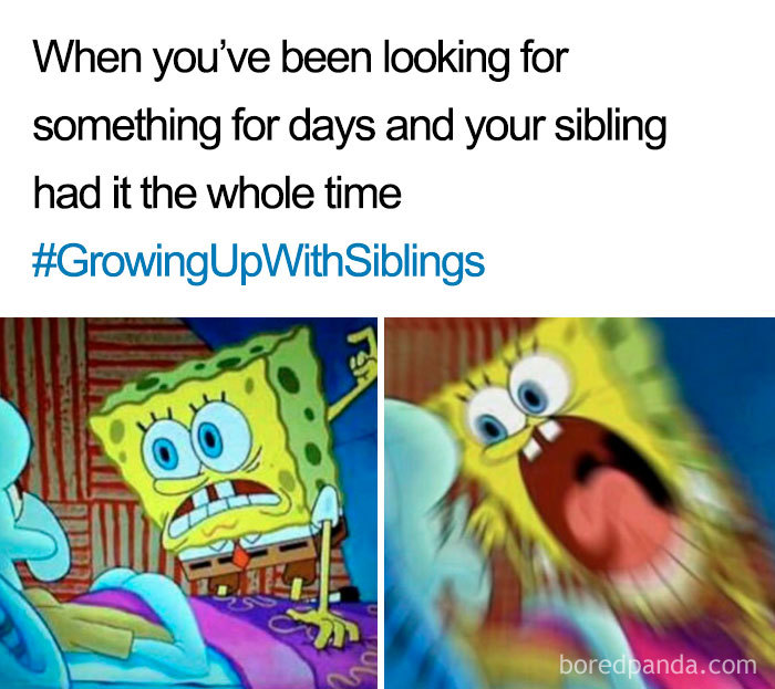 Funny-siblings-memes Funny-siblings-memes