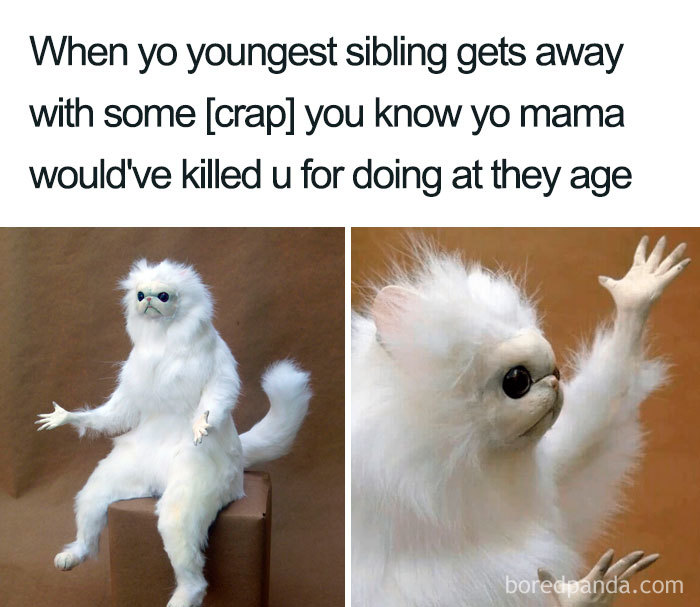 Funny-Siblings-Memes Funny-Siblings-Memes
