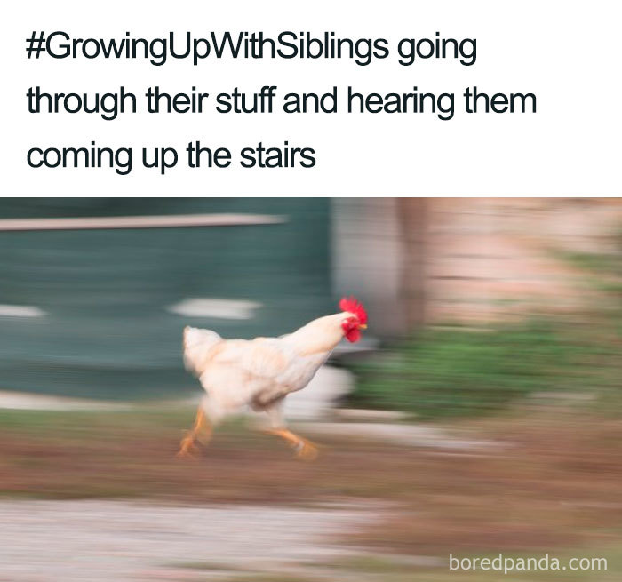 Funny-siblings-memes Funny-siblings-memes
