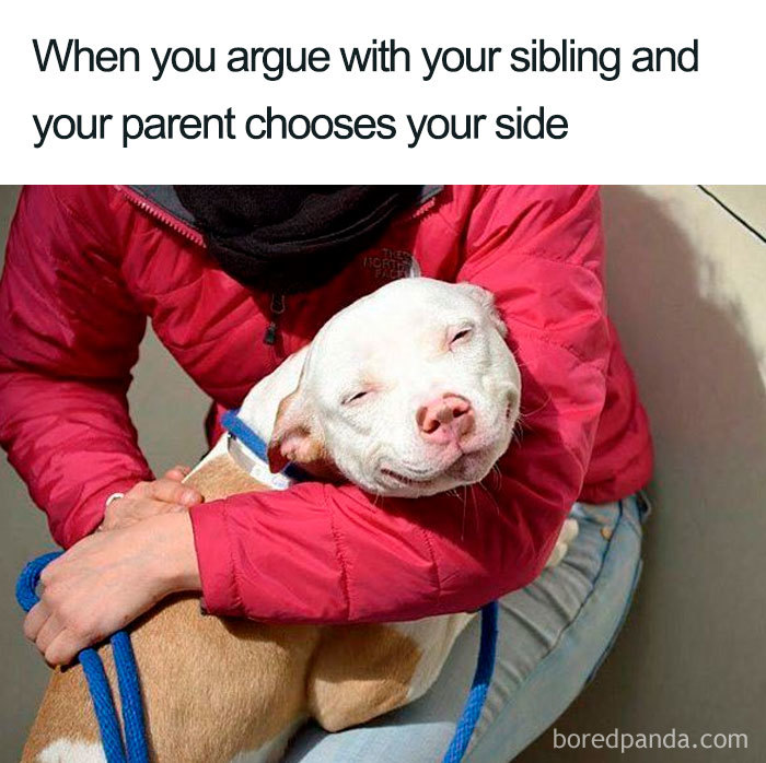 Funny-siblings-memes Funny-siblings-memes