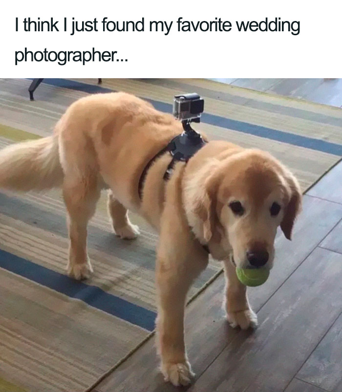 Funny-Wedding-Memes