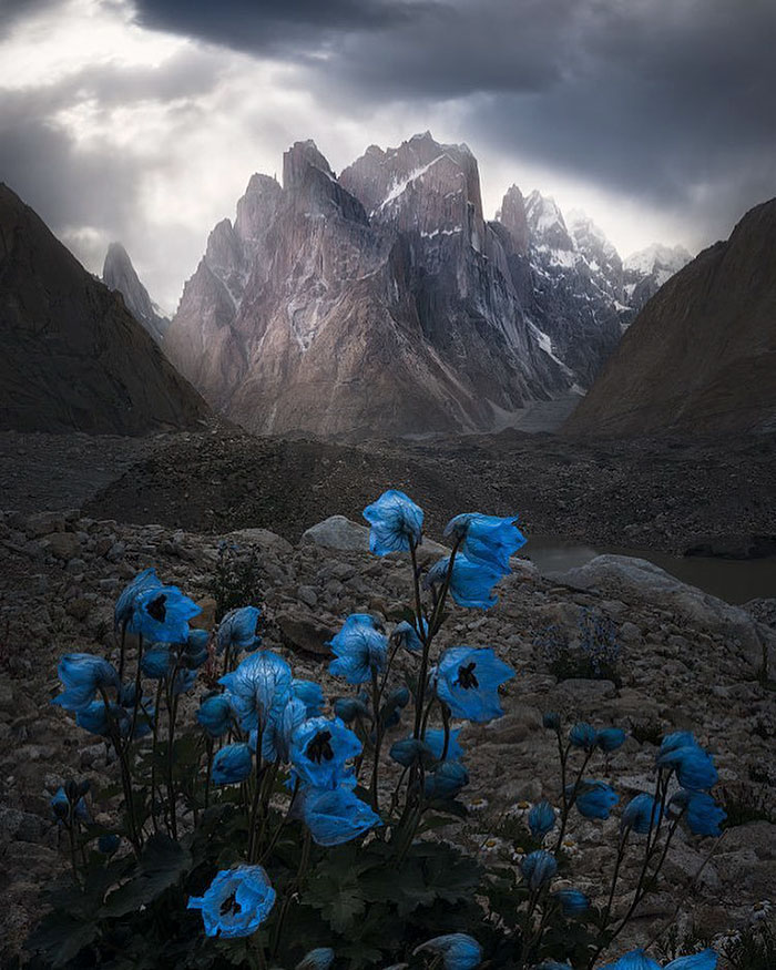 Torres Del Paine National Park, Chile, Weimin Chu