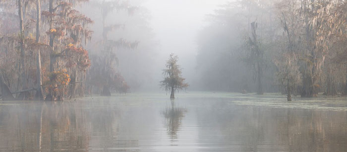 2018 International Landscape Photograph Of The Year 3rd Place, Atchafalaya Basin, Louisiana, Usa, Roberto Marchegiani