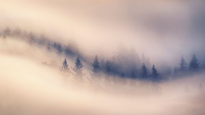 Washougal, Washington, Usa, Miles Morgan