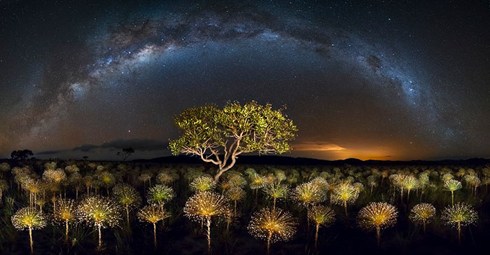 Veadeiros Tablelands National Park, Brazil, Marcio Esteves Cabral
