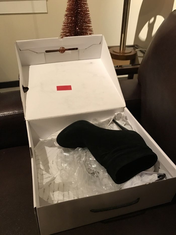 I Ordered These Boots On Sale From Aldo.Com For 50% Off. I Received One Shoe