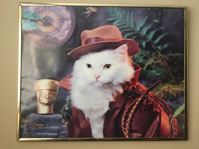 I Think I Maxed Out When I Found This Work Of Art At A Garage Sale As A Child. Now Proudly Displaying It In My First Apartment I Think I Maxed Out When I Found This Work Of Art At A Garage Sale As A Child. Now Proudly Displaying It In My First Apartment