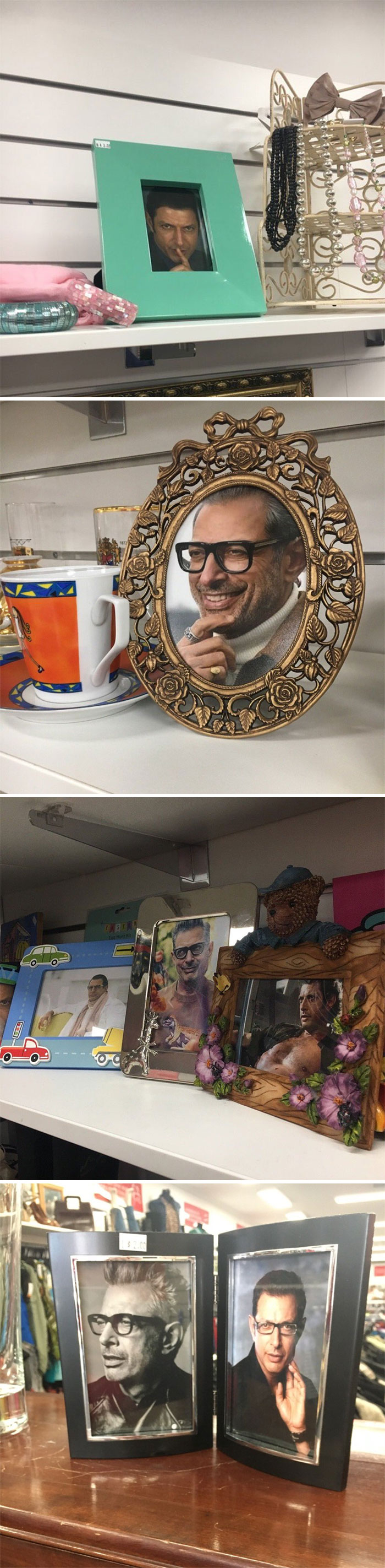 Someone Who Works At A Charity Shop Put Jeff Goldblum In Every Single Photo Frame Someone Who Works At A Charity Shop Put Jeff Goldblum In Every Single Photo Frame