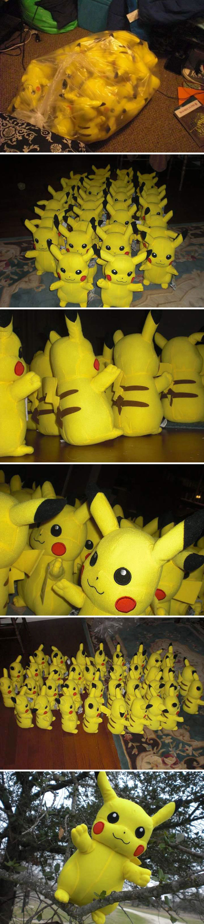 On This Day In 2011, I Found 36 Stuffed Pikachus At A Salvation Army On This Day In 2011, I Found 36 Stuffed Pikachus At A Salvation Army
