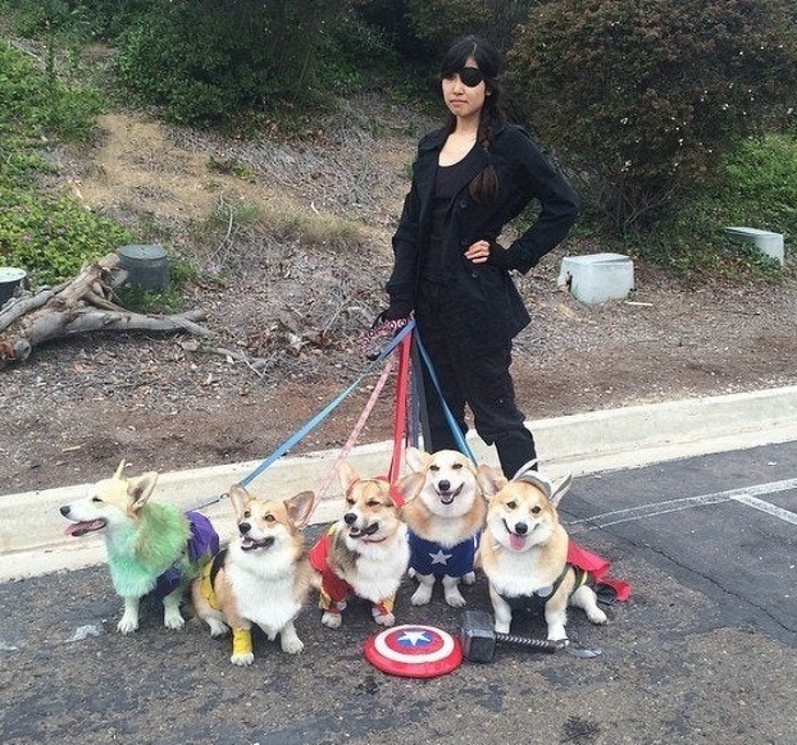 20 Unforgettable Times Pets Had Fun With Their Hoomans