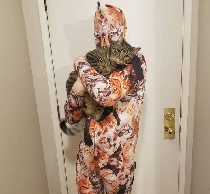 20 Unforgettable Times Pets Had Fun With Their Hoomans