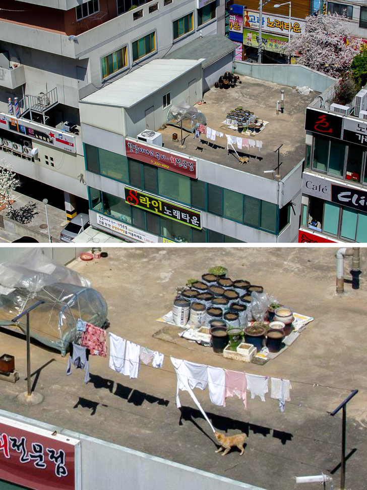 20+ Photos That Look Ordinary Until You Get a Closer Look