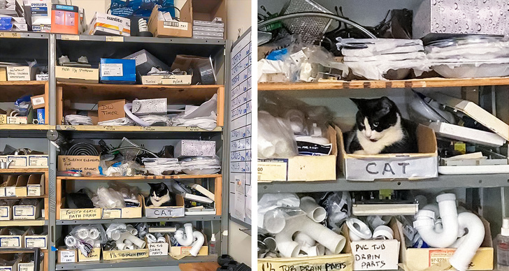 20+ Photos That Look Ordinary Until You Get a Closer Look