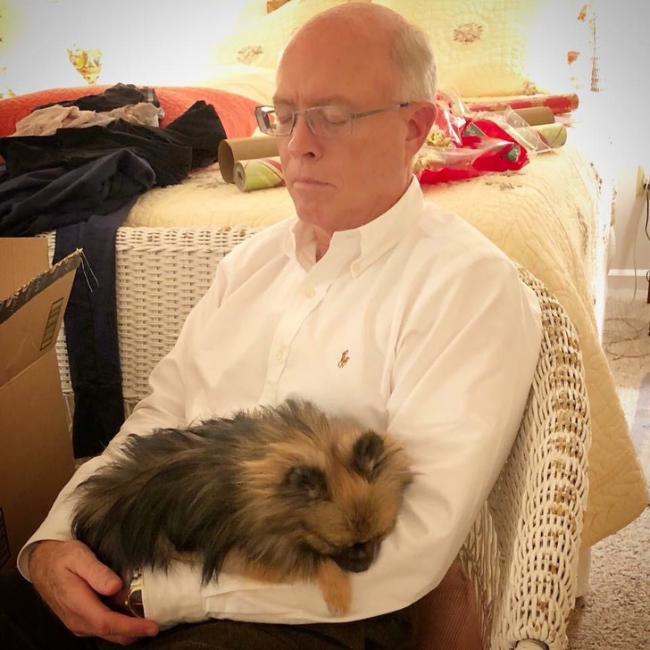 20 People Who Didn’t Want “Those Pets in the House” but Now Can’t Spend a Day Without Them