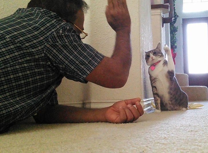 20 People Who Didn’t Want “Those Pets in the House” but Now Can’t Spend a Day Without Them