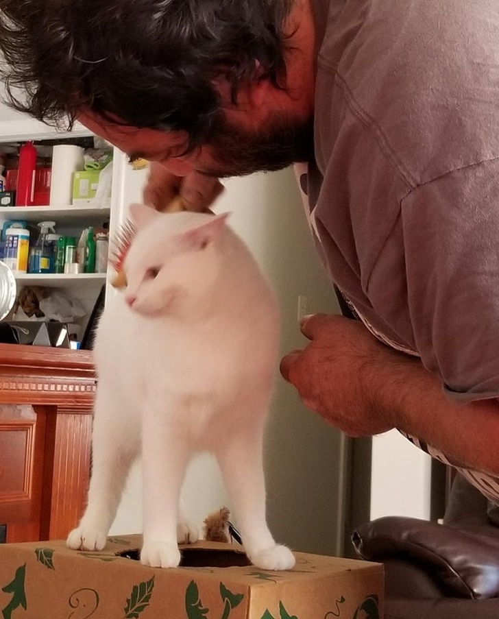 20 People Who Didn’t Want “Those Pets in the House” but Now Can’t Spend a Day Without Them