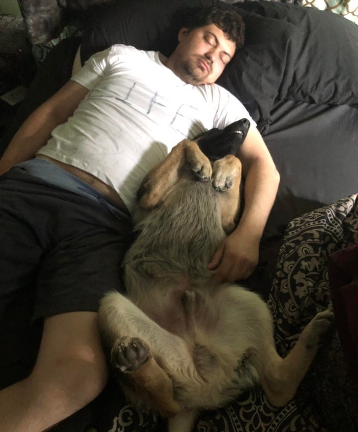 20 People Who Didn’t Want “Those Pets in the House” but Now Can’t Spend a Day Without Them