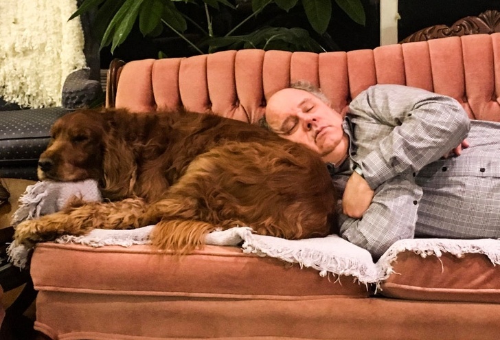 20 People Who Didn’t Want “Those Pets in the House” but Now Can’t Spend a Day Without Them