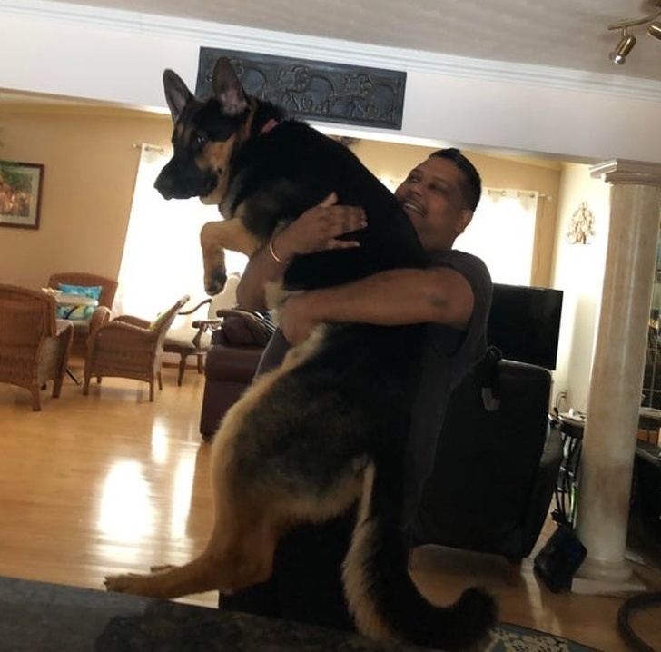 20 People Who Didn’t Want “Those Pets in the House” but Now Can’t Spend a Day Without Them