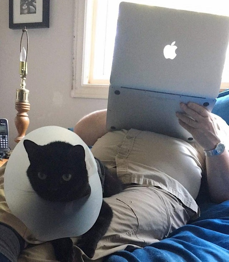 20 People Who Didn’t Want “Those Pets in the House” but Now Can’t Spend a Day Without Them