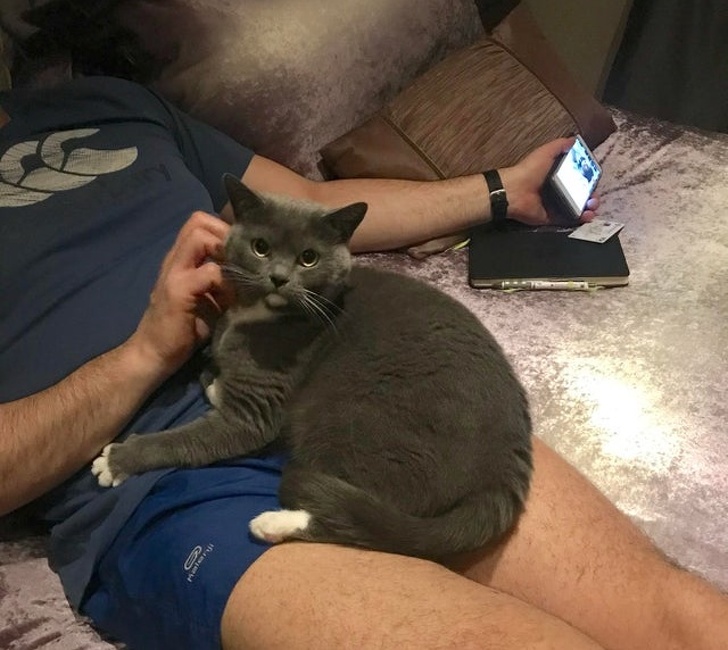 20 People Who Didn’t Want “Those Pets in the House” but Now Can’t Spend a Day Without Them