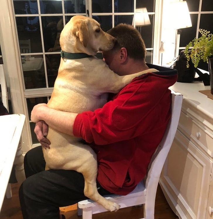 20 People Who Didn’t Want “Those Pets in the House” but Now Can’t Spend a Day Without Them