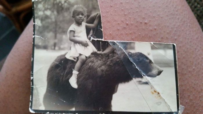 My Mother-In-Law Riding A Bear At 2 Years Old My Mother-In-Law Riding A Bear At 2 Years Old