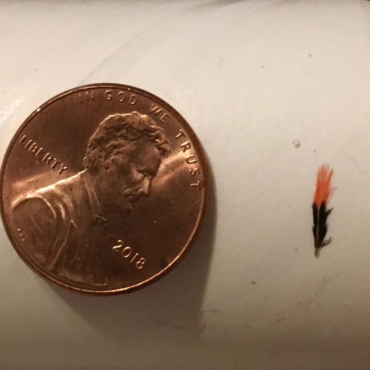 15 Photos That Gave Us a “Brain Freeze”