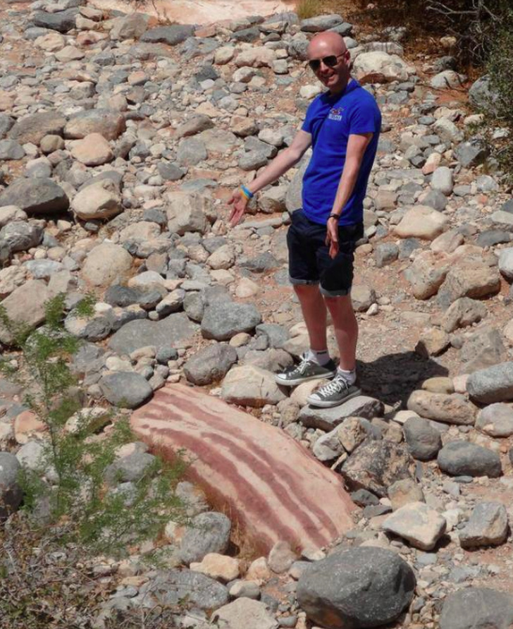 15+ Photos That Can Deceive Anyone at First Glance