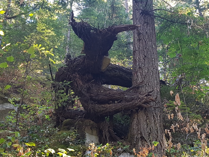 15+ Photos That Can Deceive Anyone at First Glance