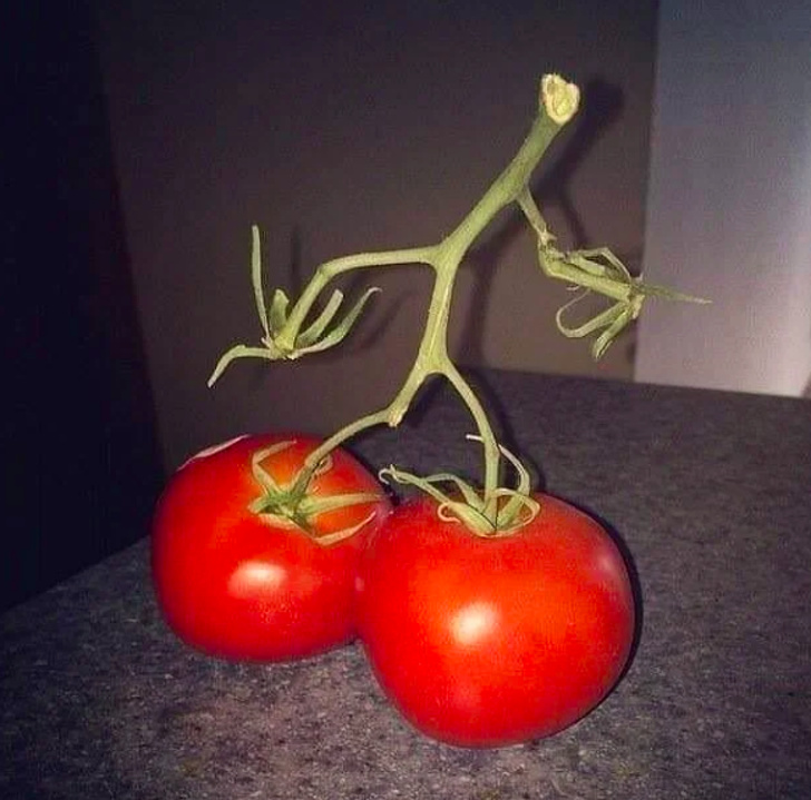 15+ Photos That Can Deceive Anyone at First Glance