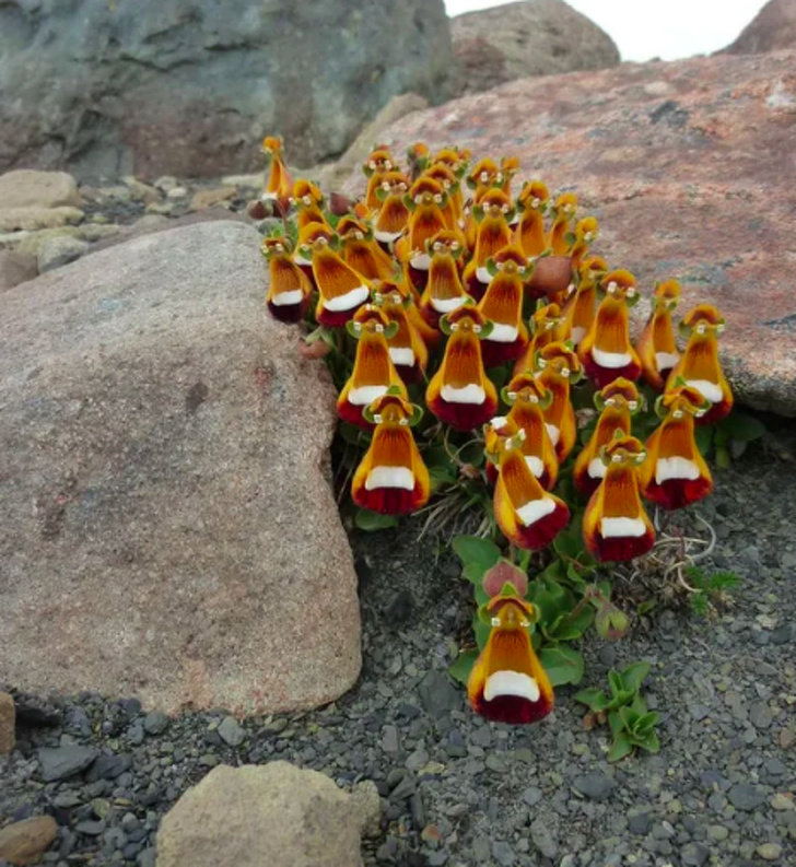 15+ Photos That Can Deceive Anyone at First Glance