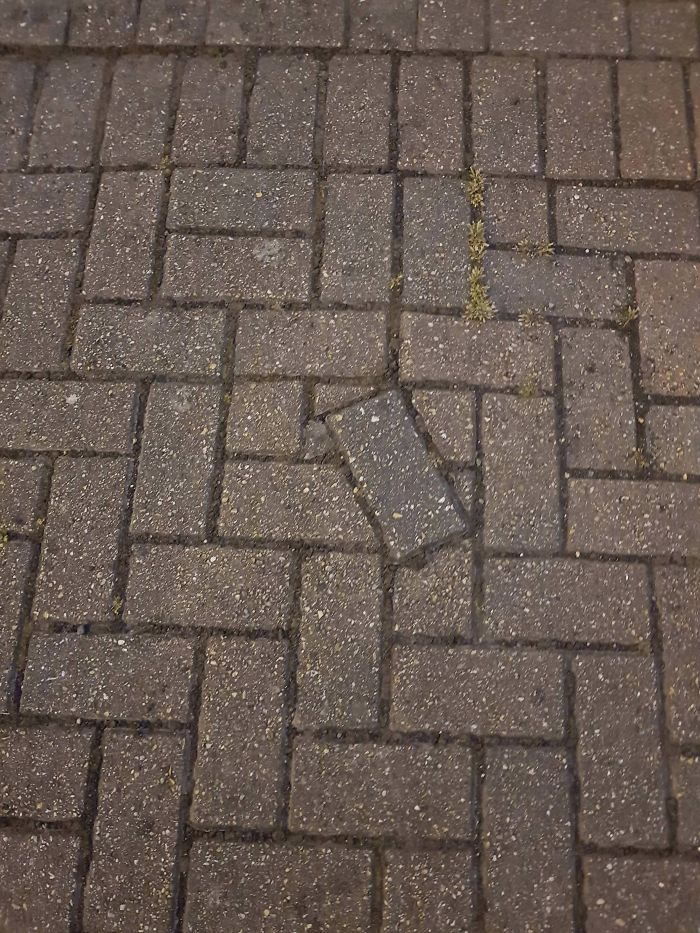 911 - I'd Like To Report A Crime 911 - I