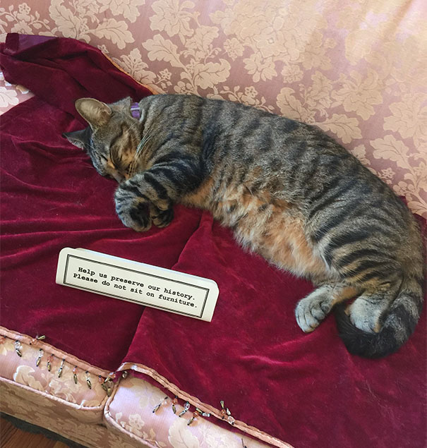 Clearly Breaking The Rules Clearly Breaking The Rules