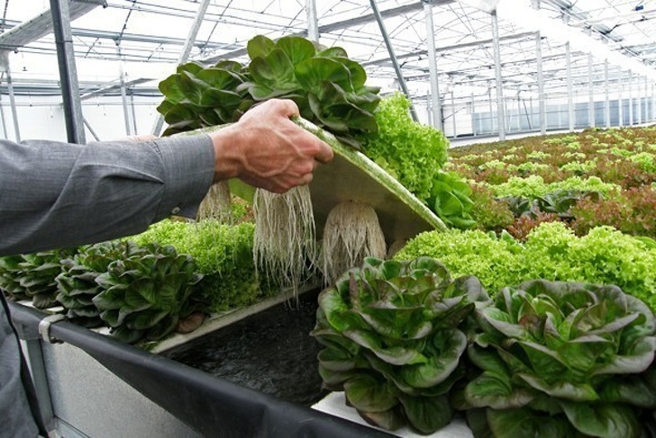 11 Consejos para ahorrar dinero y contribuir a salvar nuestro planeta