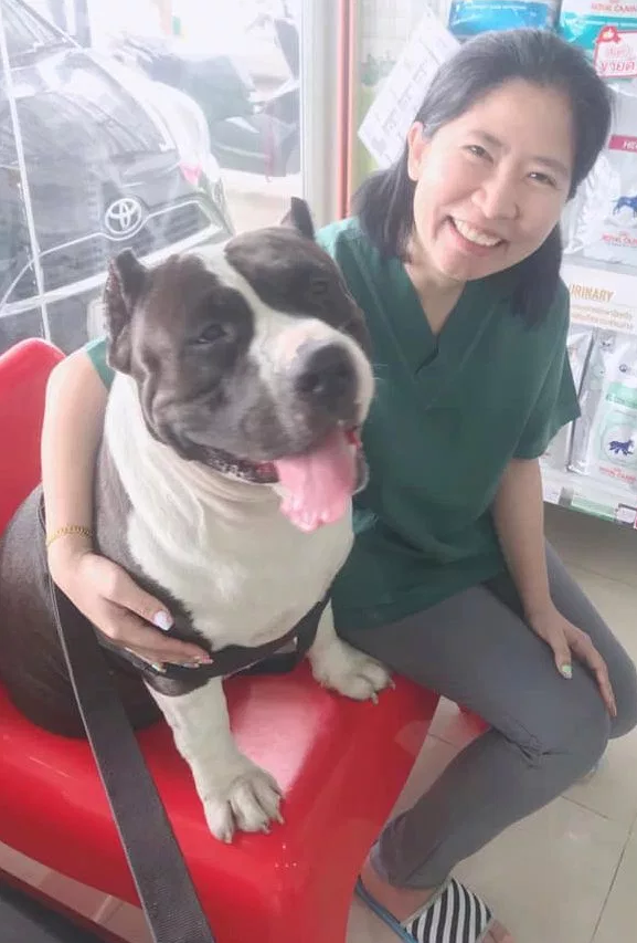 Mon Chien Boite Quand Il Se Réveille Une femme se précipite chez son vétérinaire après que son chien ait