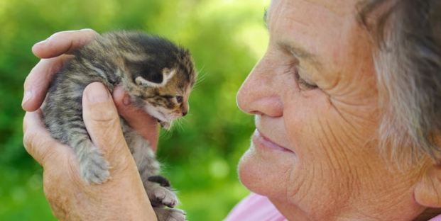 79 Year Old Nancy Segula Sentenced To Imprisonment For Feeding Stray Cats In Garfield Heights