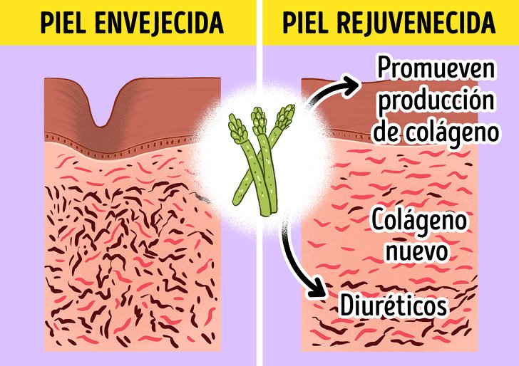 10 Alimentos que puedes incluir en tu dieta para luchar contra la celulitis y algunas recomendaciones para disminuirla